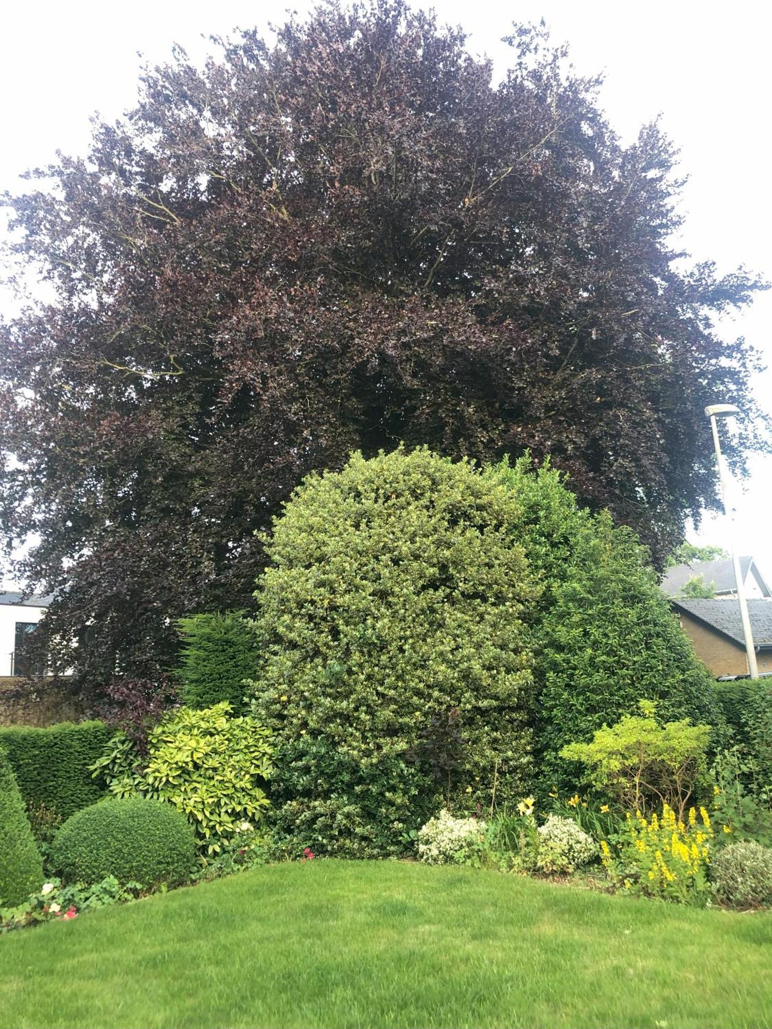 مبيت وإفطار جابيكي Cedrus المظهر الخارجي الصورة